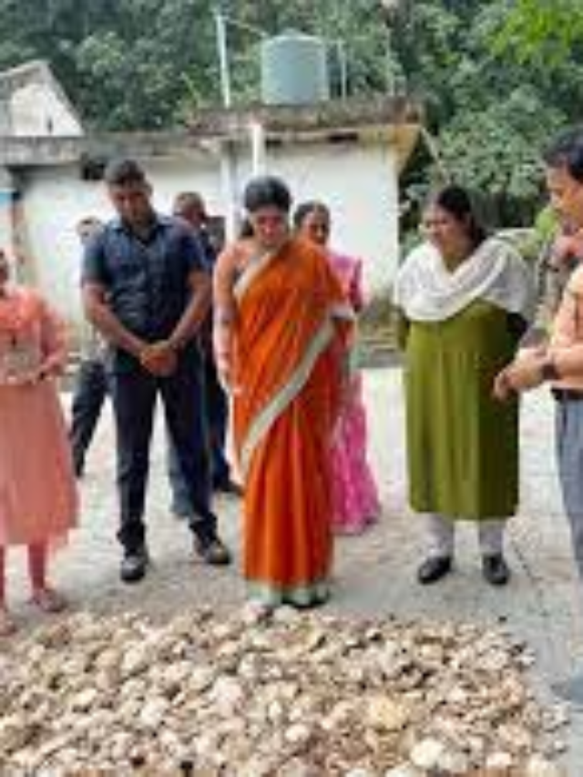 Tripura: Union Minister Anupriya Patel reviews various developmental
