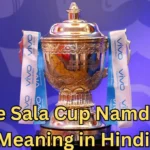 Ee Sala Cup Namdu Meaning in Hindi (ई साला कप हमारा)