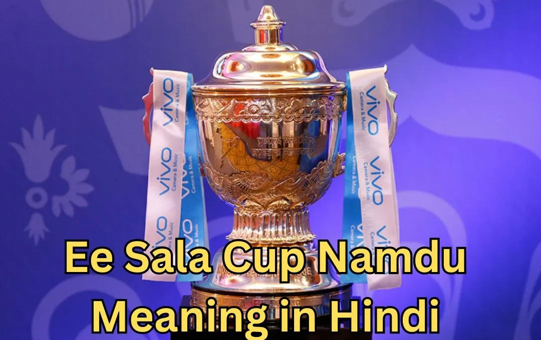 Ee Sala Cup Namdu Meaning in Hindi (ई साला कप हमारा)